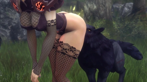 Assumi Dog Pack - Noname55
